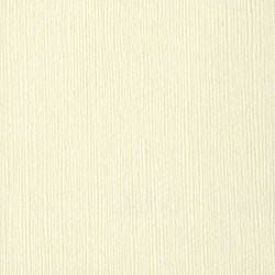 Bazzill Paper 12x12" French...